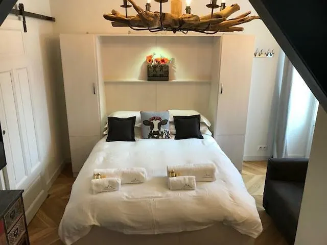 Marie Paradis 15 Appartement Chamonix